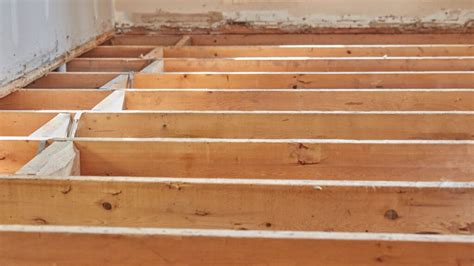 How To Install Timber Floor Joists Floor Roma