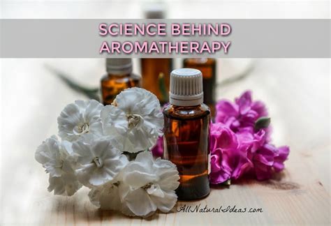 Aromatherapy Science How Do Essential Oils Work All Natural Ideas