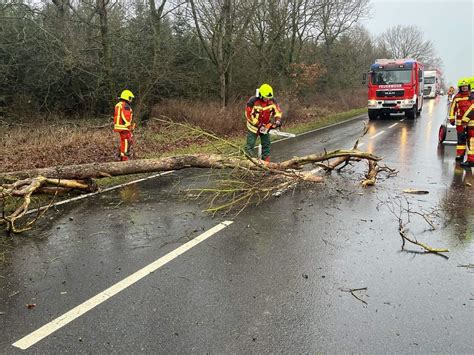 Sturmschaden Baum Droht Zu St Rzen Freiwillige Feuerwehr