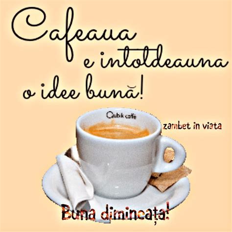 Imagini Haioase Cu Cafeaua De Dimineata Buna Dimineata Voua Viral Pe