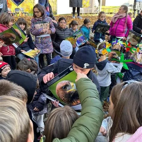 Graglia Festa Dell Albero Alla Scuola Primaria Di Vallle Foto E Video