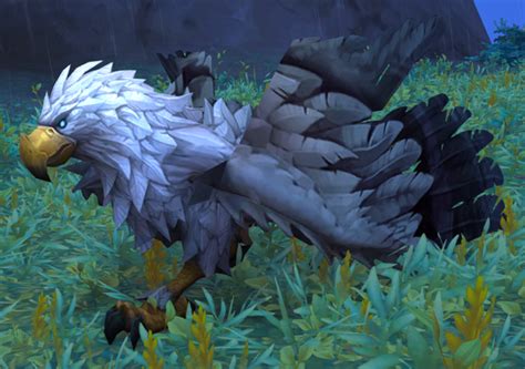 Isles Gryphon Warcraft Wiki Your Wiki Guide To The World Of Warcraft