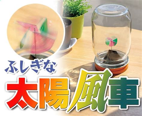 100円ショップ「セリア」で自由研究｜自由研究プロジェクト｜学研キッズネット Preschool Crafts Diy And