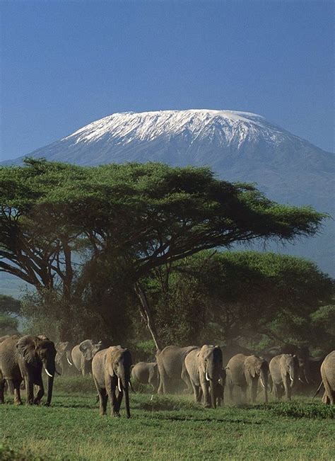 Kilimanjaro National Park || Ongeri Expeditions