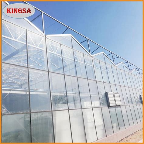 Agriculture Multi Span Venlo Polycarbonate Sheet Greenhouse For Sale