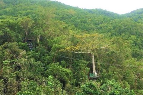 Zip Line Sloth Sanctuary Private Tour Minimum Price Is Per