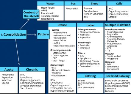 Chest Medicine Made Easy Dr Deepu Basics Of Chest X Ray Part The