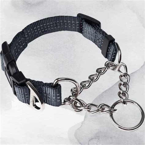 Martingale Dog Collar: A Great Tool for Comfort & Control