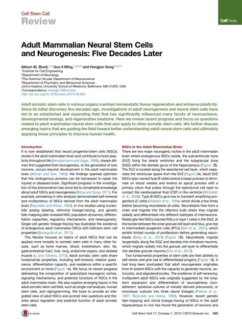 Adult Mammalian Neural Stem Cells And Neurogenesis Five De 2015 Cell