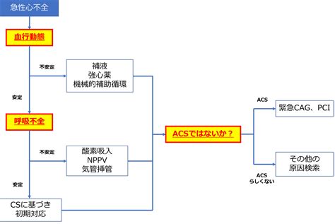 急性心不全│不識庵 万年研修医のブログ