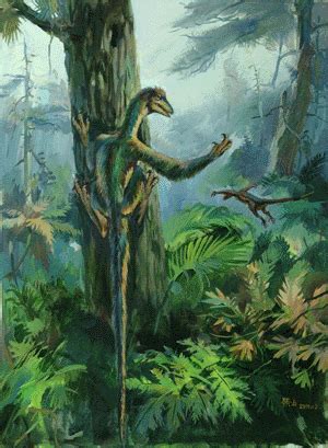 Meet Microraptor, the Birdlike Dinosaur | Science | AAAS