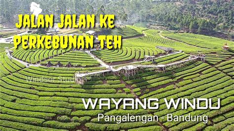 Jalan Jalan Ke Perkebunan Teh Wayang Windu Pangalengan Bandung