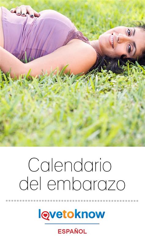 Calendario Del Embarazo Mes A Mes Lovetoknow Calendario Del