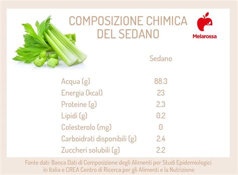 Sedano Propriet Benefici E Usi In Cucina