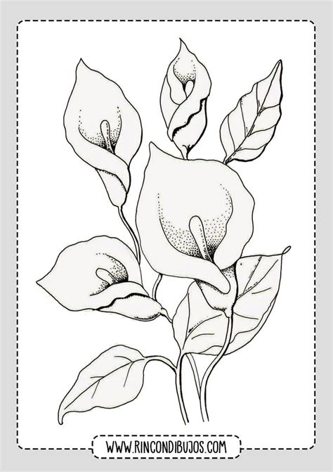 Dibujos De Flores Para Colorear E Imprimir Gratis | Flower drawing ...