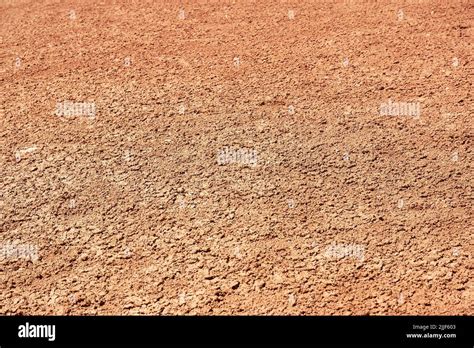 background texture  dry orange ground abstract nature backgrounds