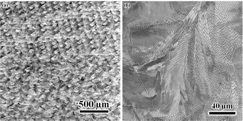 General Microstructure Of Lpbf Processed Ss Showing A A