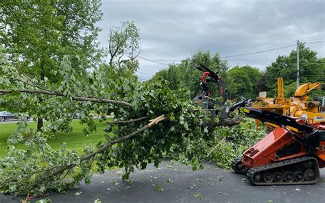 Emergency Storm Damage Tree Removal in New Jersey