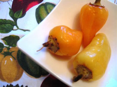 Квашеные перцы - пошаговый рецепт с фото (19513 просмотров)