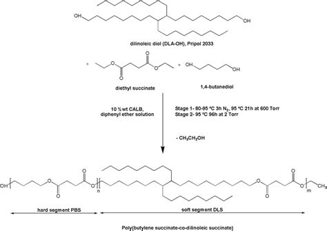 Synthesis conditions for the transesterification of dilinoleic diol ...