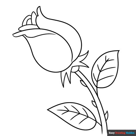 Easy Step by Step Rose Drawing for Kids Coloring Page | Easy Drawing Guides