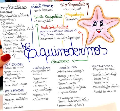 Mapa Mental Sobre Animais Invertebrados Study Maps Artofit