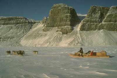 The History of Mushing: The Inuit Sled Dog