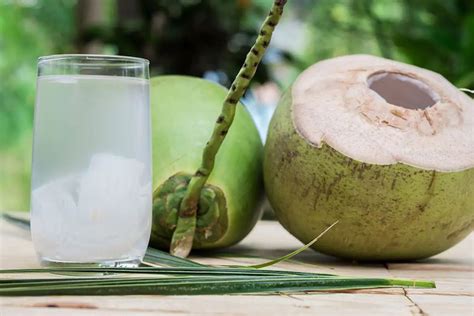 Manfaat Air Kelapa Mempercepat Penyerapan Obat