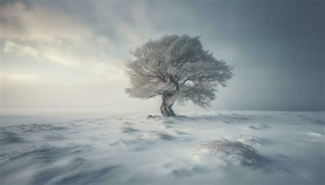 Cold Wind Stock Photos, Images and Backgrounds for Free Download