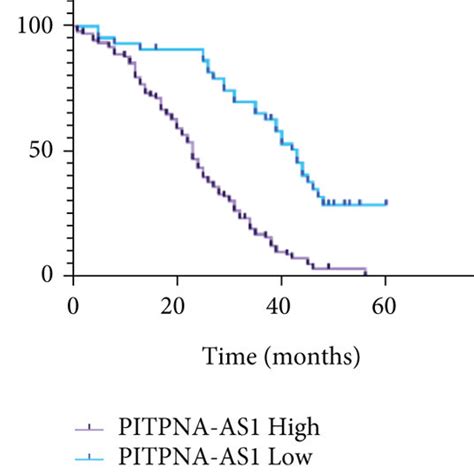 Rna Sequencing For Lncrna And Microrna In 3 Gastric Cancer Patients Download Scientific