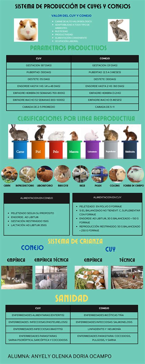 Annotated Infograf C Ada Proyecto Ecol C B Gico Llamativo