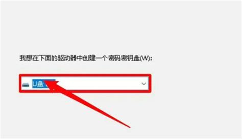 Win10密码重置盘怎么弄 Win10密码重置盘步骤一览 大地系统