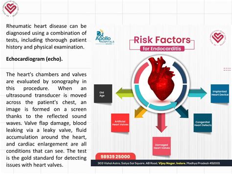 Ppt All About Rheumatic Heart Disease Powerpoint Presentation Free Download Id 11727614