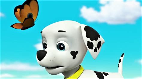 Paw Patrol Pups Save A Blimp Paw Patrol Full Episodes Youtube