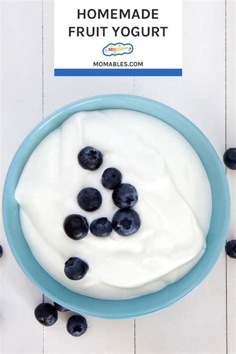 Homemade Fruit Yogurt | MOMables