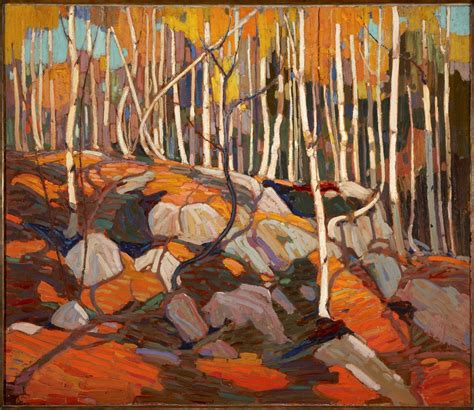 Tom Thomson Catalogue Raisonn The Birch Grove Autumn Winter