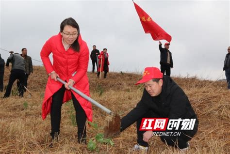 宁远：新年上班第一天 3000干群义务植树添新绿宁远永州站红网