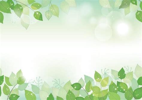 vector botanical background set  text space isolated   white