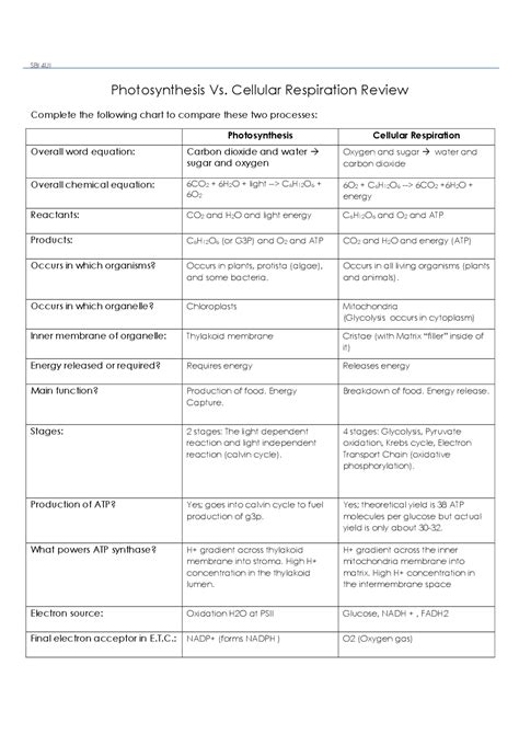 Solved Photosynthesis And Cell Respiration Worksheet Chegg