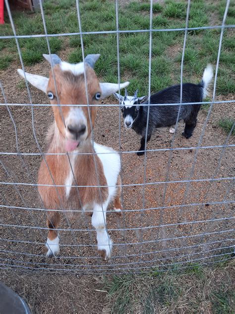 Green Park RV Resort added a new... - Green Park RV Resort