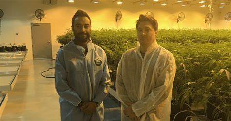 C3 Industries Invests 16 Million In New Connecticut Cannabis Facility