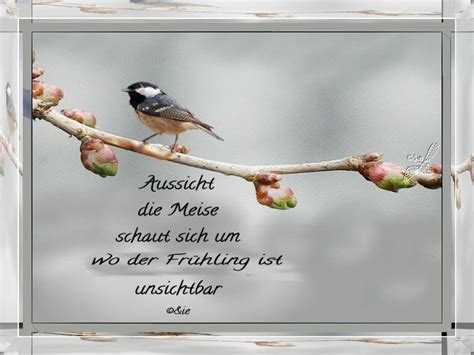 Gedicht Herbstmorgen Von Sieghild Krieter Elfchen Bei E Stories De