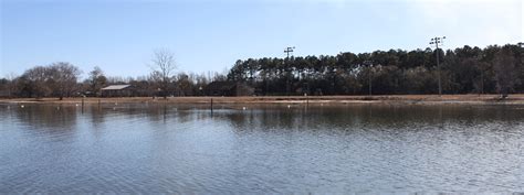 Freshwater Series Lake Marion March Brings A Host Of Fine Fishing