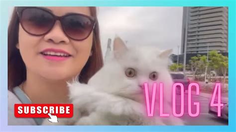 Vlog Pet Friendly Park In Abu Dhabi Uae Reem Central Park With Covi