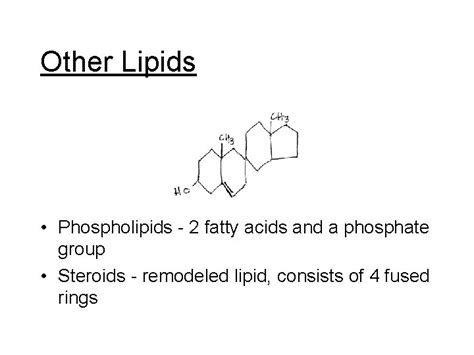 Lipids Lipids Lipids Includes fats phospholipids and steroids