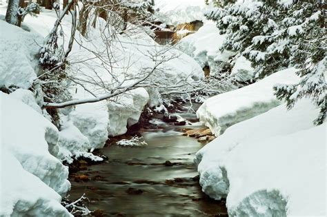 23 best images about winter on Pinterest