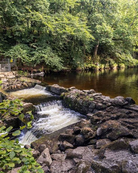 Castle Drogo Walk: a beautiful circular trail in Dartmoor — Walk My World