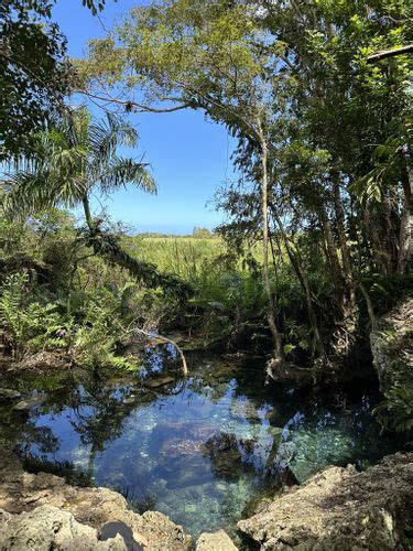 Best Hikes and Trails in Tortuguero Lagoon Reserve | AllTrails