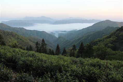 安徽黄山太平猴魁茶文化系统 全国农业展览馆（中国农业博物馆） 全国农业展览馆