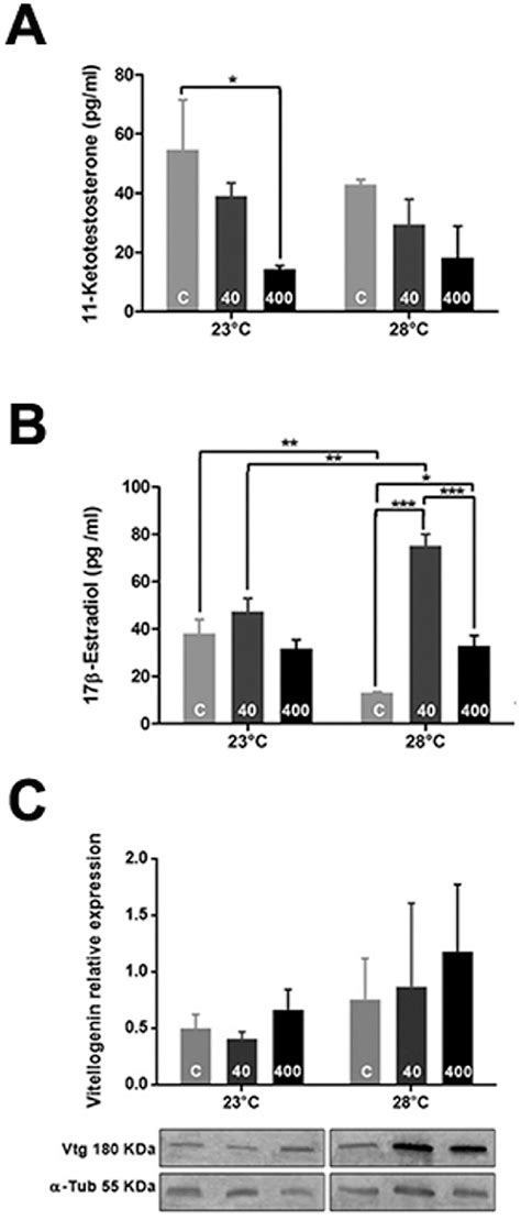 Effects Of Bisphenol A Bpa Exposure On Testicular Levels Of A